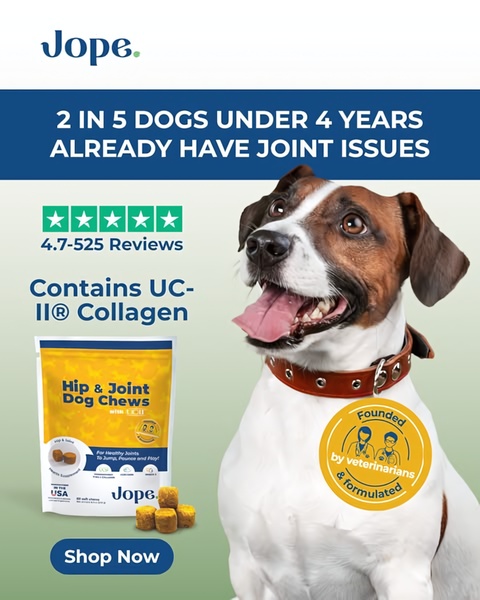 A 4:5 vertical ad for Hip & Joint Dog Chews using a data-driven headline and trust-based badges to encourage consumer action.